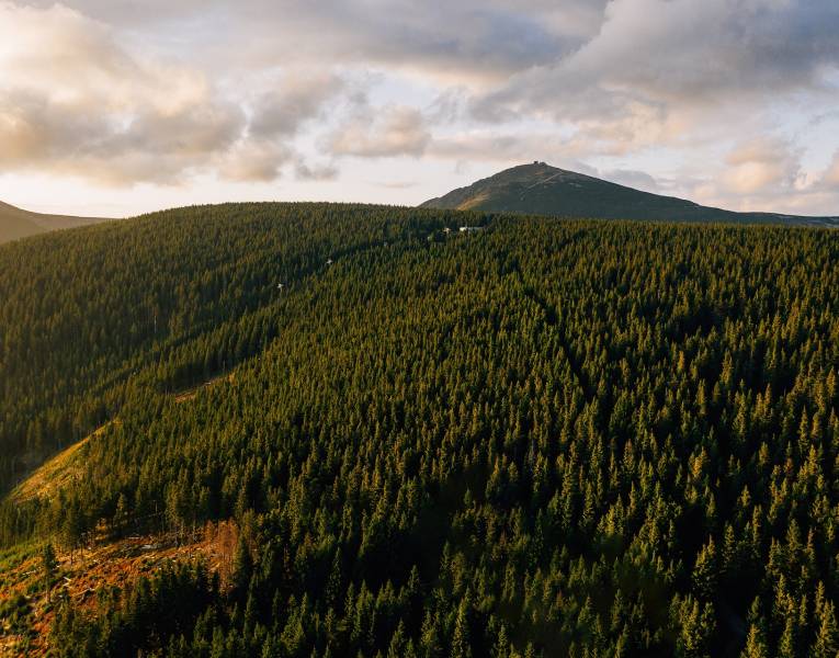 Świetna lokalizacja|place.png